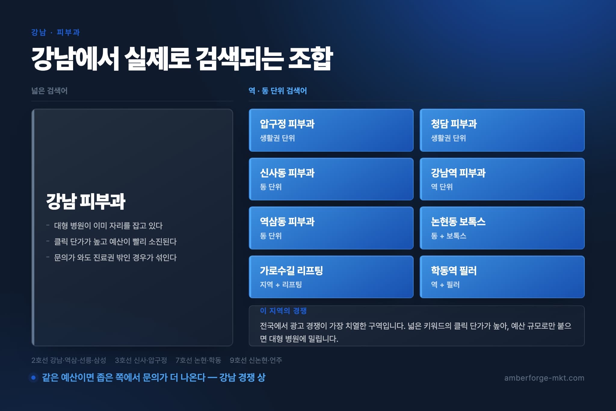 강남 피부과 — 넓은 검색어 하나와 역·동 단위 검색어 8개를 나란히 비교한 표
